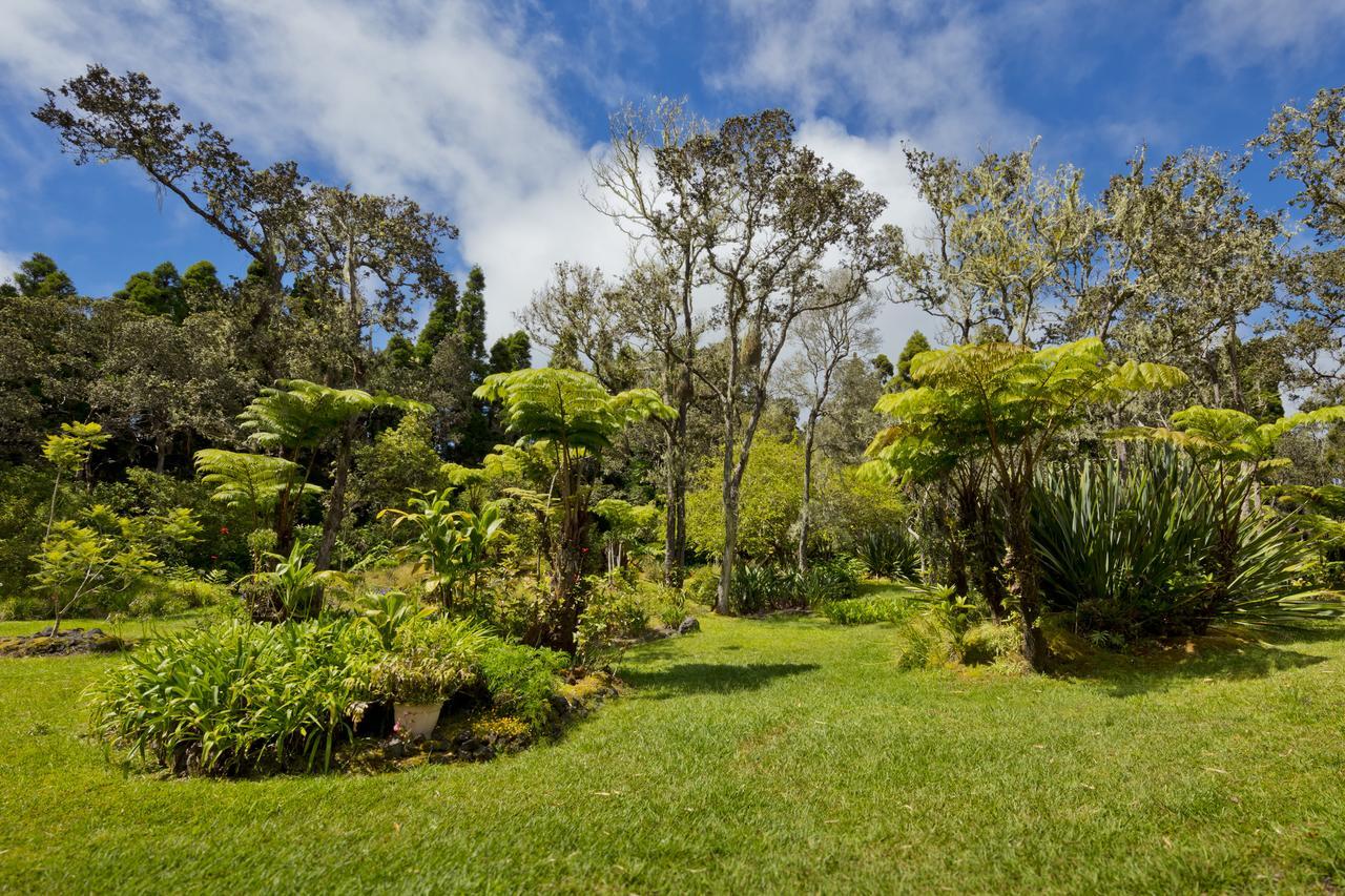 Hale 'Ohu Bed&Breakfast Volcano Exteriér fotografie
