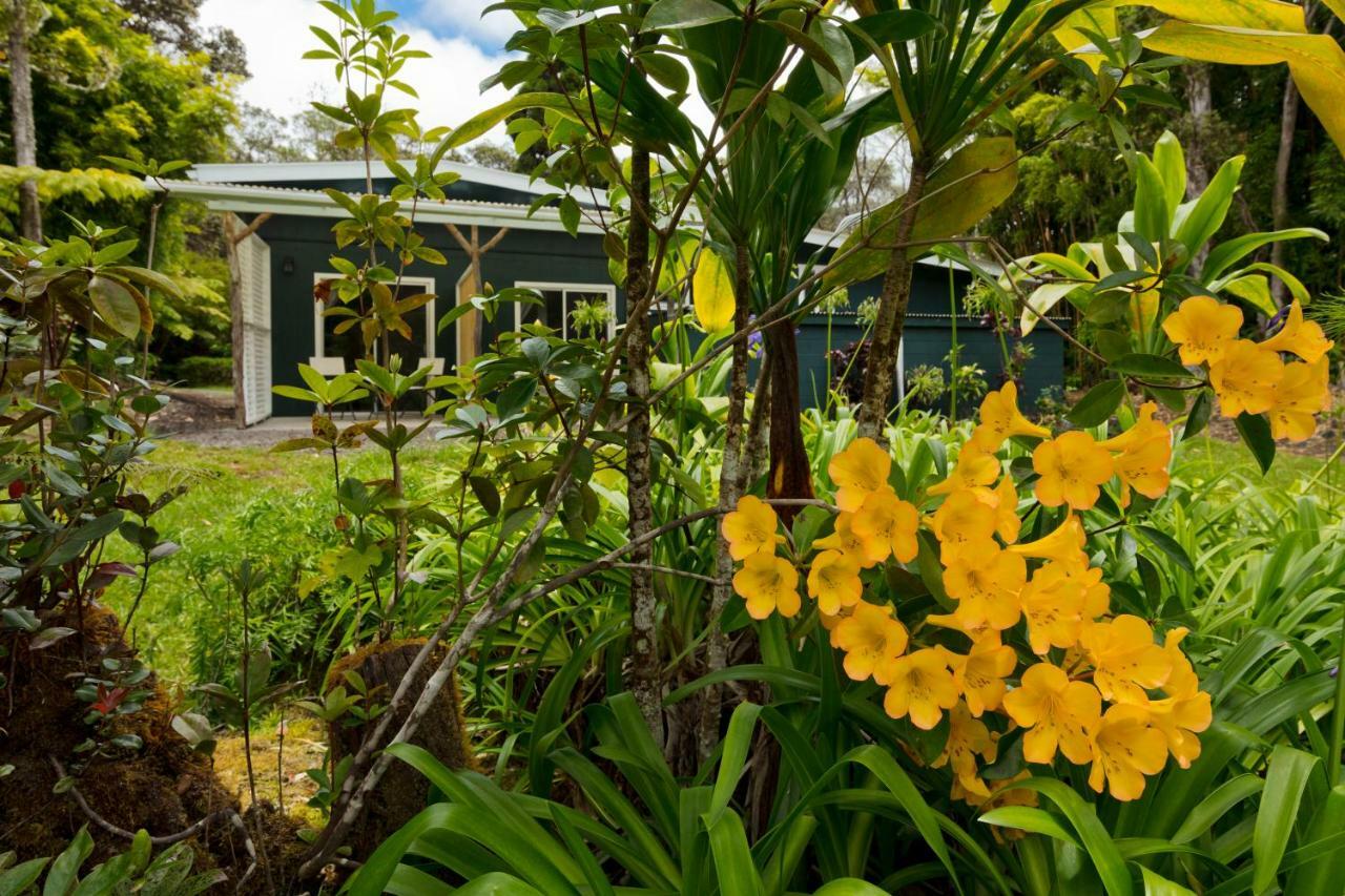 Hale 'Ohu Bed&Breakfast Volcano Exteriér fotografie
